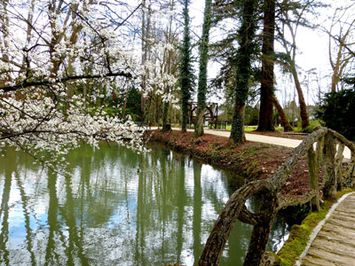 Following the path through the woodland below the château.