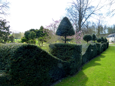 Clipped yew hedges and<br />
topiary, typical of French gardens — Jardin du Plessis.