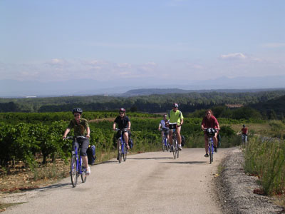 A group of cyclists riding through the rolling hills of Provence.