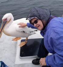 Lady Gaga and Judy in Walvis Bay. Photo by Pat Lewinski.