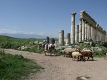 A young shepherd in Apamea.