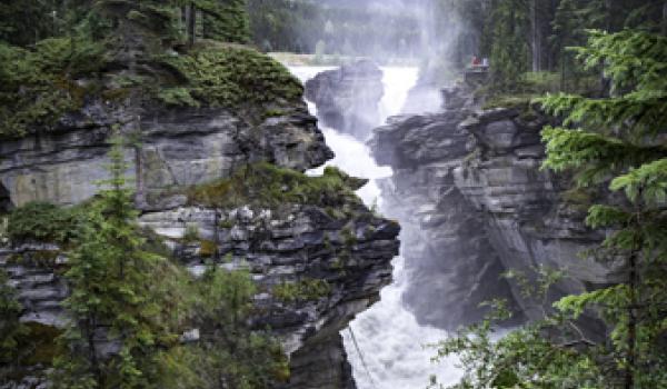 Athabasca Falls in Jasper National Park, Alberta, Canada. Photo courtesy of Intrepid Travel