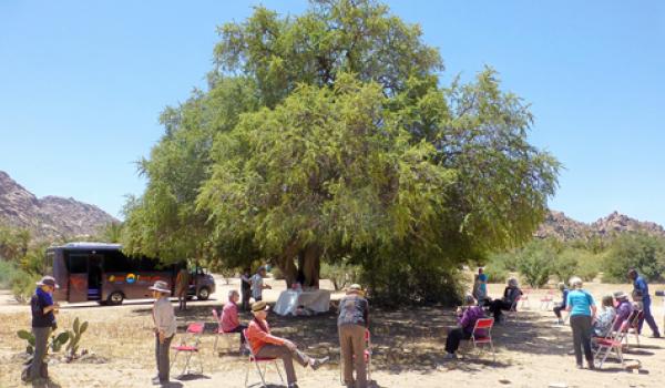 Our group enjoyed a picnic under an argan tree in Tafraout, Morocco. Photo by Randy Keck