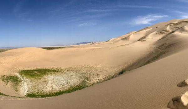 The Khongor sand dunes in the northern Gobi Desert.