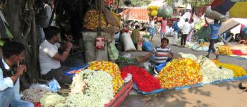 A flower market in Kolkata, India.