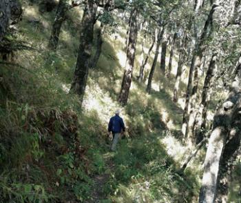 Hiking at Chadwick Falls near Shimla, Himachal Pradesh, India.