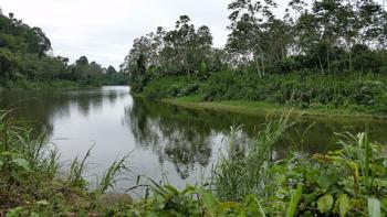 Habitat at Rio Palenque Science Center — Ecuador.