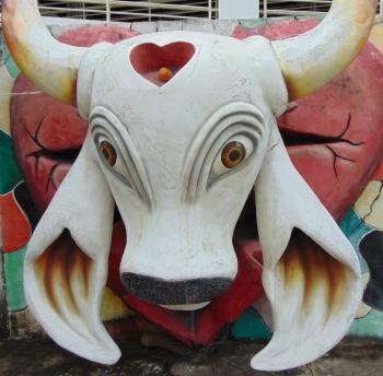 Welcome to Parintins, the “city of the bull.”