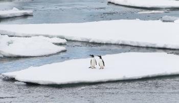 Alone on the ice.