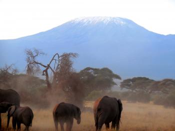 Mt. Kilimanjaro, in Tanzania, as seen from Amboseli National Park in Kenya. Photo by LaMerle Loveland