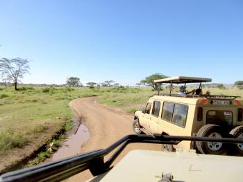 The landscape at Serengeti National Park, Tanzania. Photo by Bob Loveland