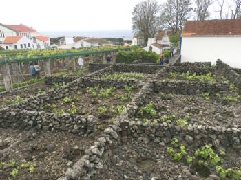 People walking past a garden at a home on Terceira, Azores. Stone fencing such as this is typical on the island. Photo by Steve Plotkin