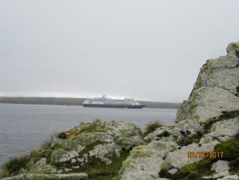 The <i>Zaandam</i> as seen from Whalebone Cove, Stanley Harbour, Falkland Islands. Photo by cruise passenger Forrest Smith