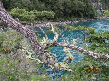 Vincent Pérez Rosales National Park near Lake Petrohué, southern Chile. Photo by cruise passenger Forrest Smith