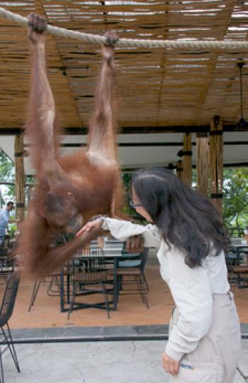 Gail and the orangutan at the Bali Zoo. Photo by Richard Newlin