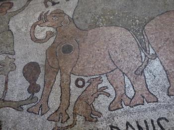 Twelfth-century mosaics portraying fantastical beasts and stories from the Bible can be found on the floor of Otranto Cathedral. Photos by Thom Wilson