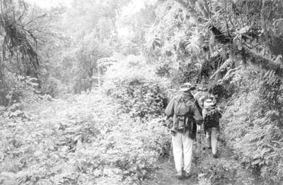 The group descending below the tree line.