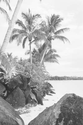 One of Rarotonga’s beautiful beaches.