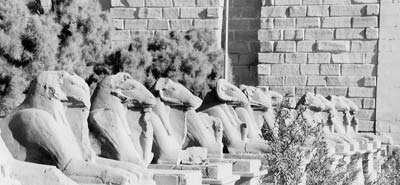 The first pylon outside of Karnak temple. 