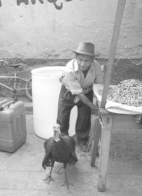 A scene from the Chichicastenango market.