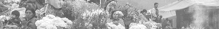 Flowers are sold on the church steps at the Chichicastenango market.