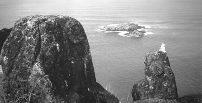 For 170 years, swimmers raced to and from Motunui Island. The first to return with a sooty tern’s egg won the honor of becoming “birdman” for the next year.