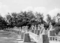 Avenue of the Popes statues at Celestial Gardens.