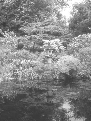 Garden at Waverly Manor, one of many featured on our Dorset tour.