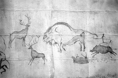 Drawings of some of the animals once hunted in Kernave in prehistoric times.