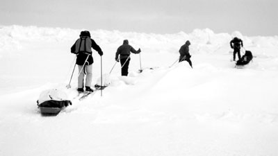 Skiing toward the North Pole.