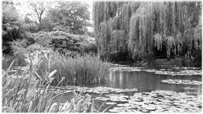 While living in Giverny, Claude Monet painted his famous “Water Lilies” series. As you walk through his intricately planned water garden (pictured), the inspiration for the paintings is apparent.