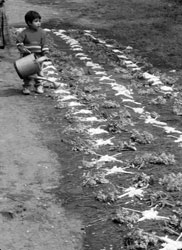 1. A small boy watering the alfombra becomes the point of interest in this shot. Photos: Denninger