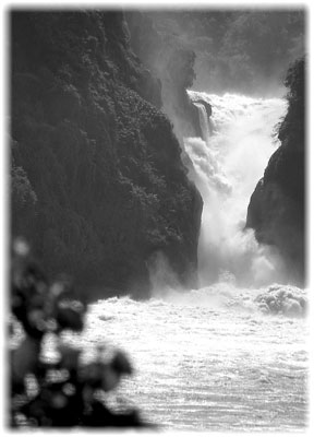 Murchison Falls flows through a 6-meter-wide gorge, making it roar and sending up a large spray.