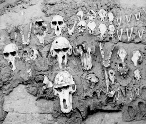 Very old skulls embedded in the wall of a Tellem hunter’s house. 