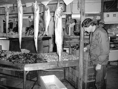 Randy inspecting the catch at a local fish market near Marbella. 