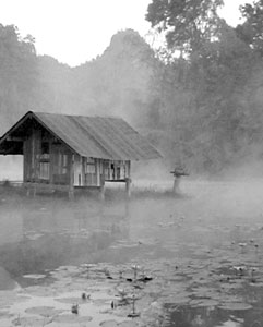 I shot these two images of the same misty lake in northern Thailand but chose the one on the right for my slide show. The building gives a clue as to the location, and the composition is more interesting.