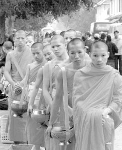 Buddhist monks on their morning rounds for rice in Luang Prabang, Laos.