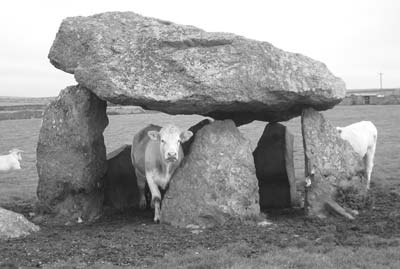 The Neolithic cromlech, or burial chamber, of Carreg Sampson near Abercastle.