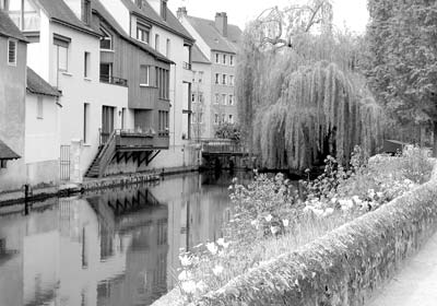 A serene view of Chartres.