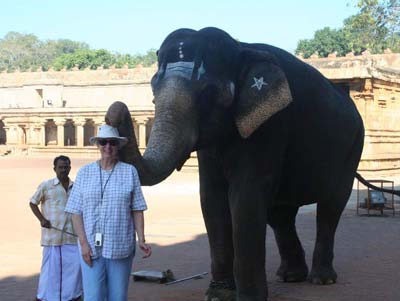 Margo Wilson being blessed by a temple elephant. Thank goodness for the hat!