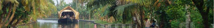 Scene from our boat trip on the backwaters of Kerala.