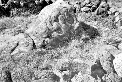 One of the many birdman petroglyphs at Orongo.