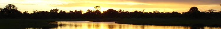 Sunset in the Okavango Delta, Botswana