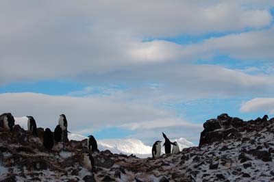 Antarctica