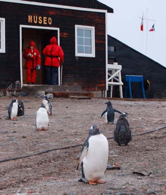 Antarctica