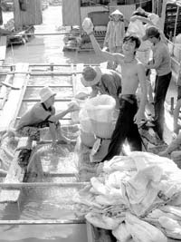 Locals harvesting ﬁsh at their ﬁsh farm on Dragon Island on the My Tho River in the Mekong Delta, Vietnam. Photos: Keck 