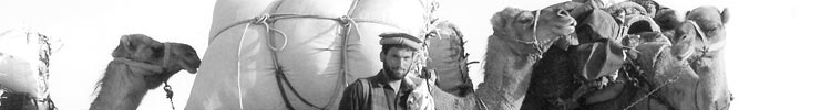 Returning to Pakistan, we passed a camel train in Afghanistan on the way to the Khyber Pass.