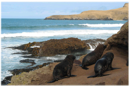 Seals