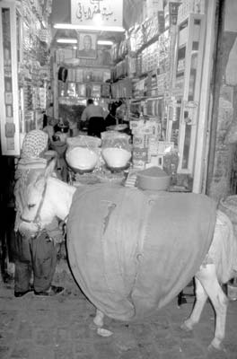 A burro delivering goods inside a suq’s narrow passageways — Aleppo.