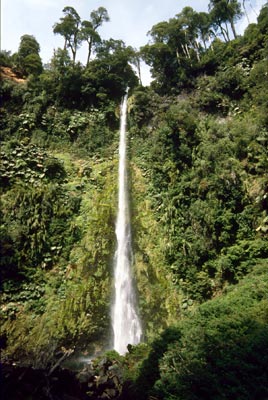 China Salto is reached by a path through a forest of lush bamboo.